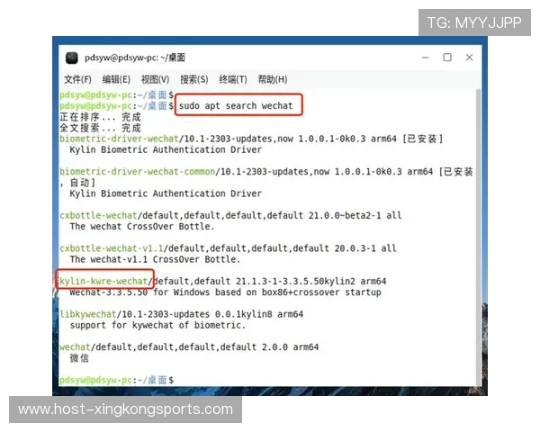 探索国产Linux系统麒麟OS的用户体验与性能评测